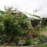 Berkembang dengan tebusan di depan gazebo polikarbonat