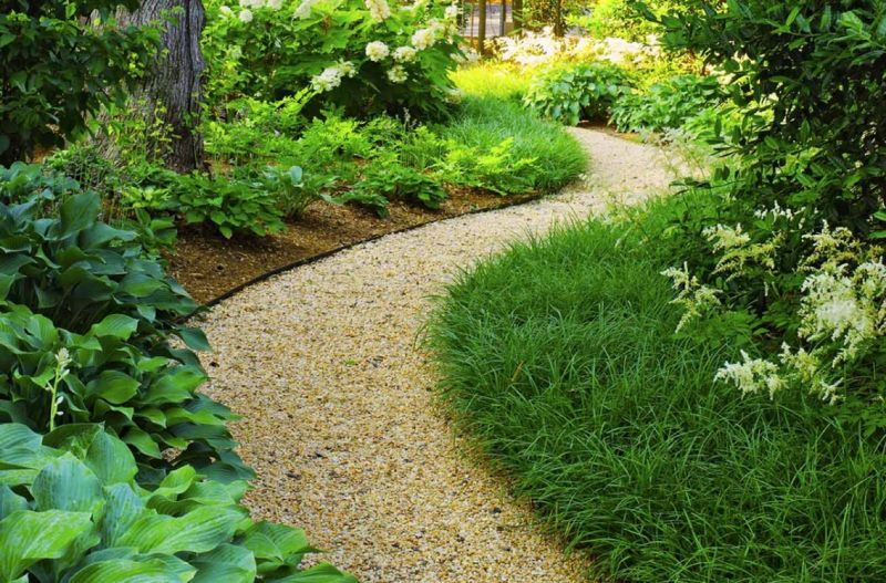 A winding path in the design of a small garden