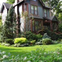 Coniferous mixborder in front of the windows of a private house