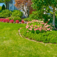 Flower beds in garden landscaping