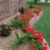 Flowers on a flowerbed with gravel