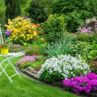 Flower beds for a beautiful design of a private site