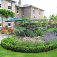 Flowerbeds with blooming perennials in front of a private house