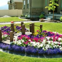 Wooden bridge over a flower bed