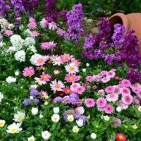 Tilted clay jug flowerbed