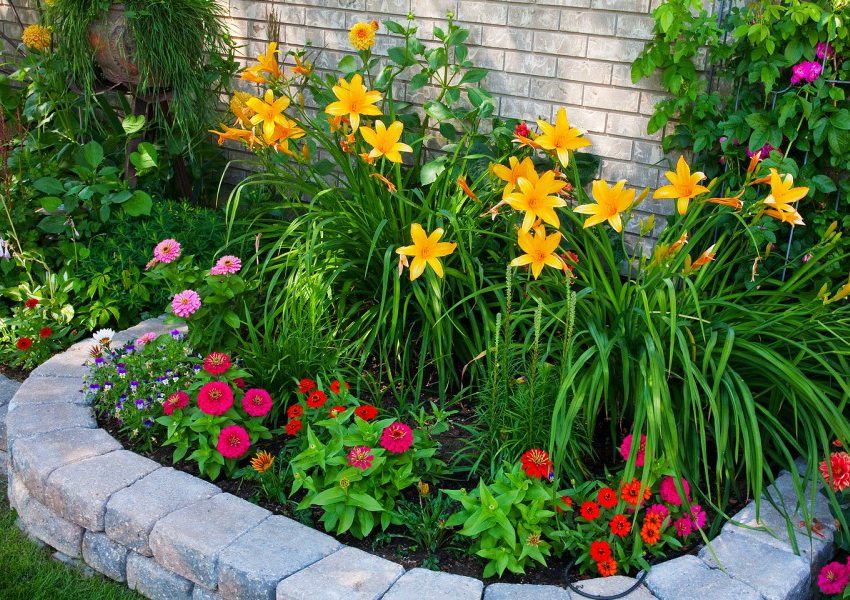 flowerbed بسيط مع الحدود الحجرية المحفورة