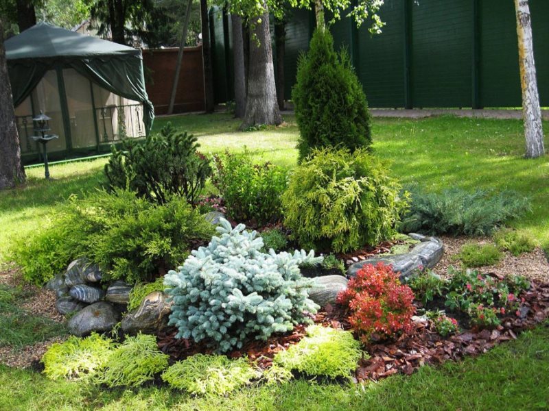 Flowerbed with shrubs in the shade of tall trees