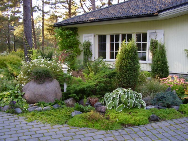 Flowerbed with perennials in front of a window of a residential building