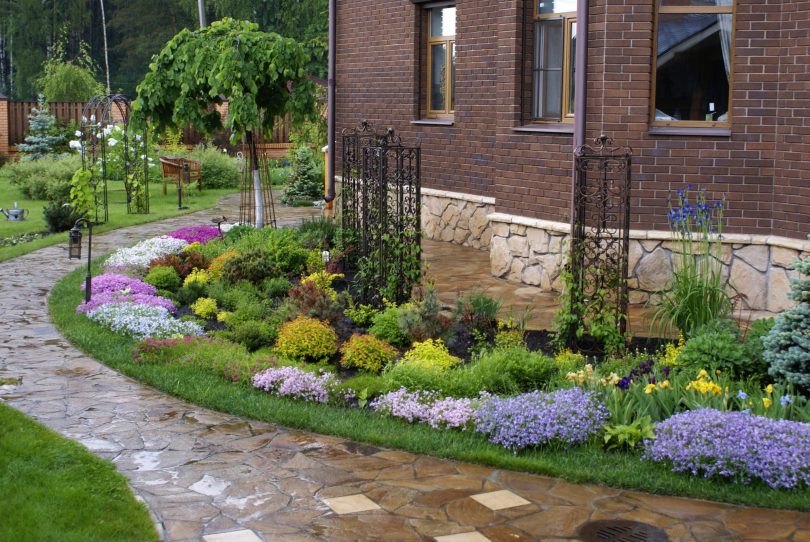 Beautiful elongated flowerbed along the wall of a residential building