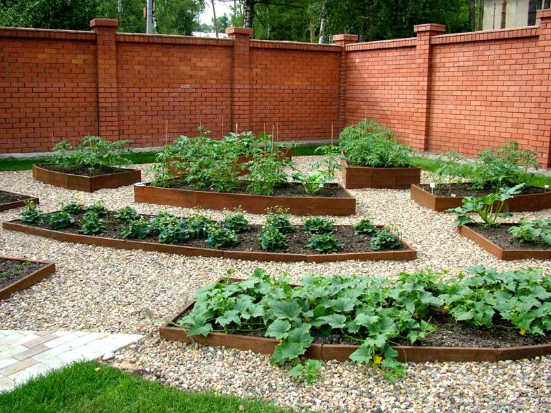 Garden area with beautiful beds in a summer cottage