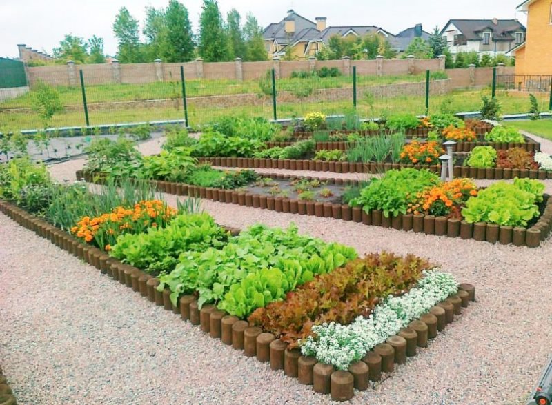 Beautiful decorative beds in the landscape of a summer cottage