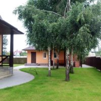 Russian birch trees in the landscape of a garden plot