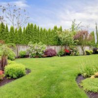 DIY decoration of the old fence with bushes.