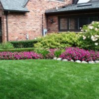 Mixborder dengan perennials berbunga