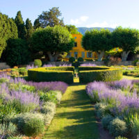 Geometric shapes in a classic style garden