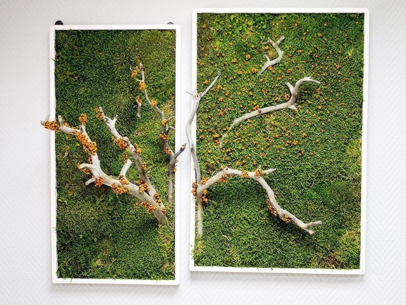 DIY moss panel for interior decoration