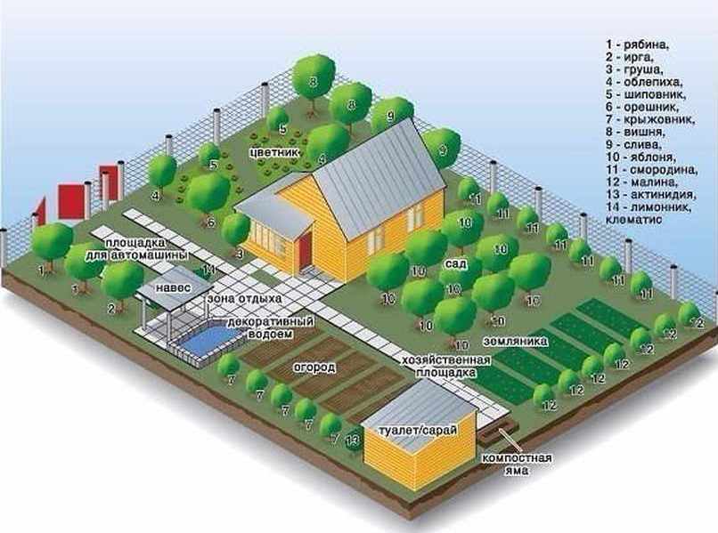 The plan-scheme of gardening a personal plot