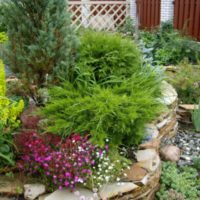 Perennials on a bed of limestone