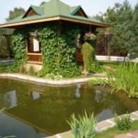 Gazebo near artificial pond