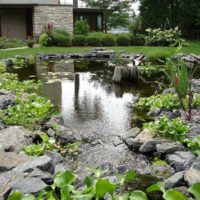 kolam buatan dengan ikan di taman