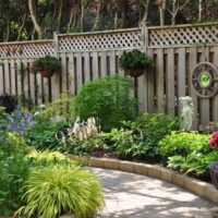 Flowerbed with shade-tolerant flowers in front of a wooden fence