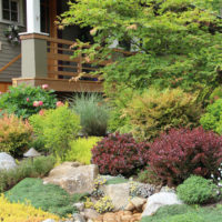 Perennials in front of the outdoor terrace