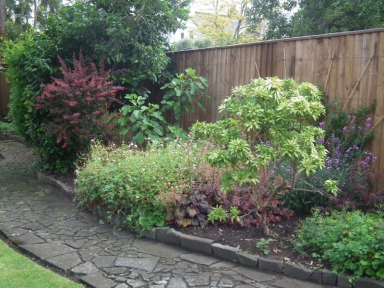 Wild mixborder along the wooden fence of the garden