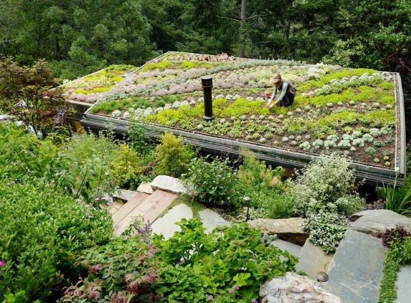 Using the flat roof of the house as a garden