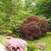 Do-it-yourself landscaping of a country garden