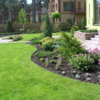 Flowerbed in front of a house with flowers and shrubs