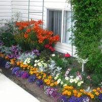 Flowerbed بالقرب من شرفة منزل ريفي