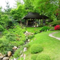 Wooden arbor in the back of the country garden