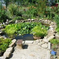 Artificial pond in a suburban area