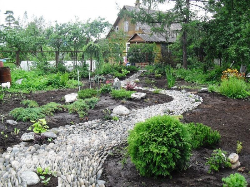 Dry creek in garden design