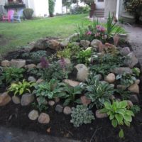 Flowerbed in front of the garden path