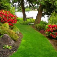 A narrow strip of green lawn on the slope of the garden