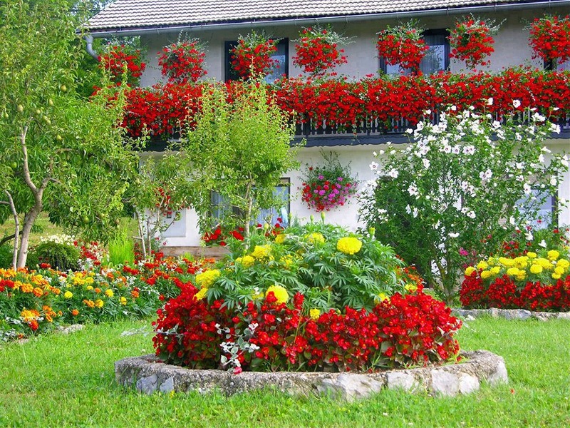 Garden flower bed with red and yellow flowers