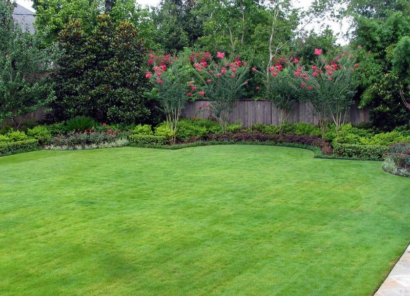 Green lawn in the garden of a country house