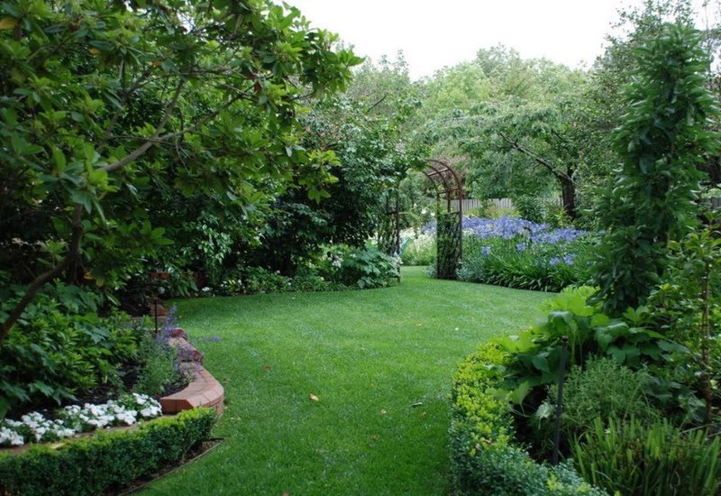 Green lawn among garden trees