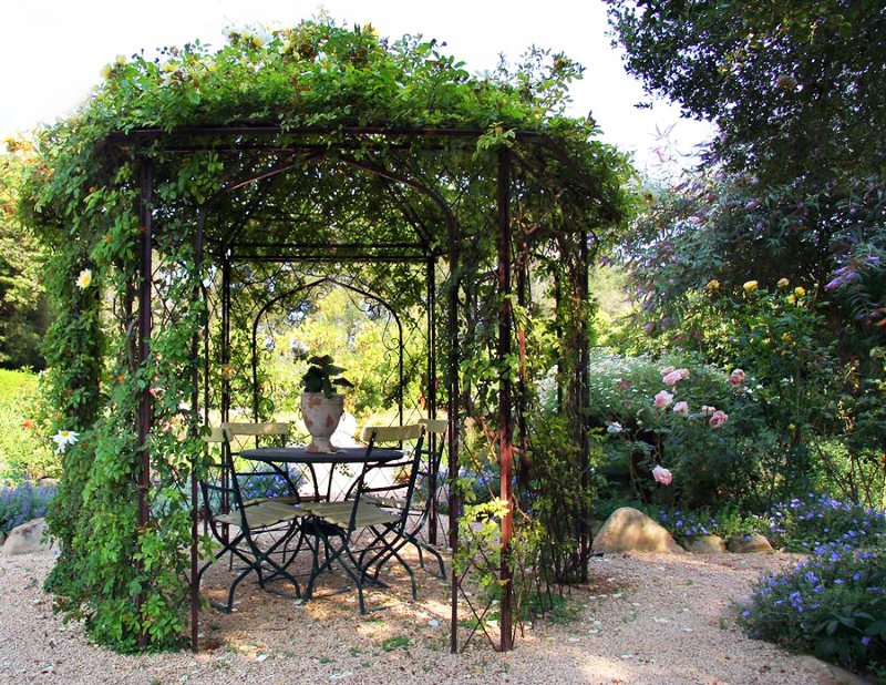 Steel structure garden gazebo for fast growing vines