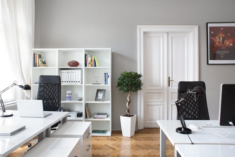 Double hinged doors in the office