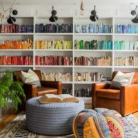 Bright living room interior with bookshelves