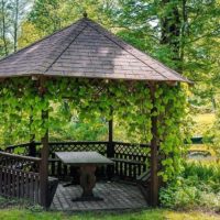 Wooden arbor in the garden landscape