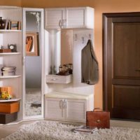 Cabinet with a mirror in the furniture set for the hallway