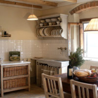 Rustic style kitchen interior