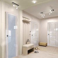 Glossy interior doors