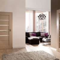 Contemporary composite doors