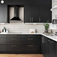 Matte black cabinets