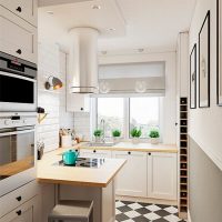 Design narrow kitchen city apartment