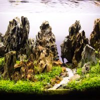 Underwater rocks at the bottom of the aquarium